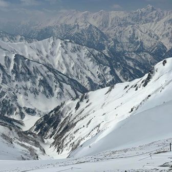 この先で冬毛の雷鳥に遭遇
見やすい場所に近づく前に行ってしまいました