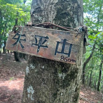激坂を登り
5座目 矢平山