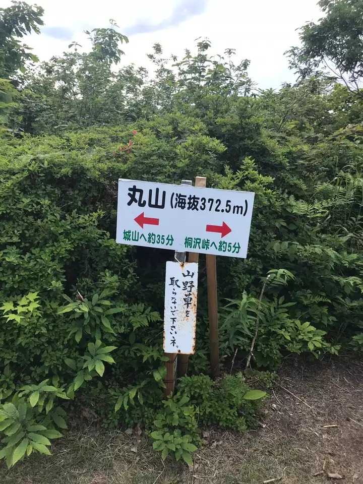 丸山（新潟県長岡市小国町桐沢）の写真
