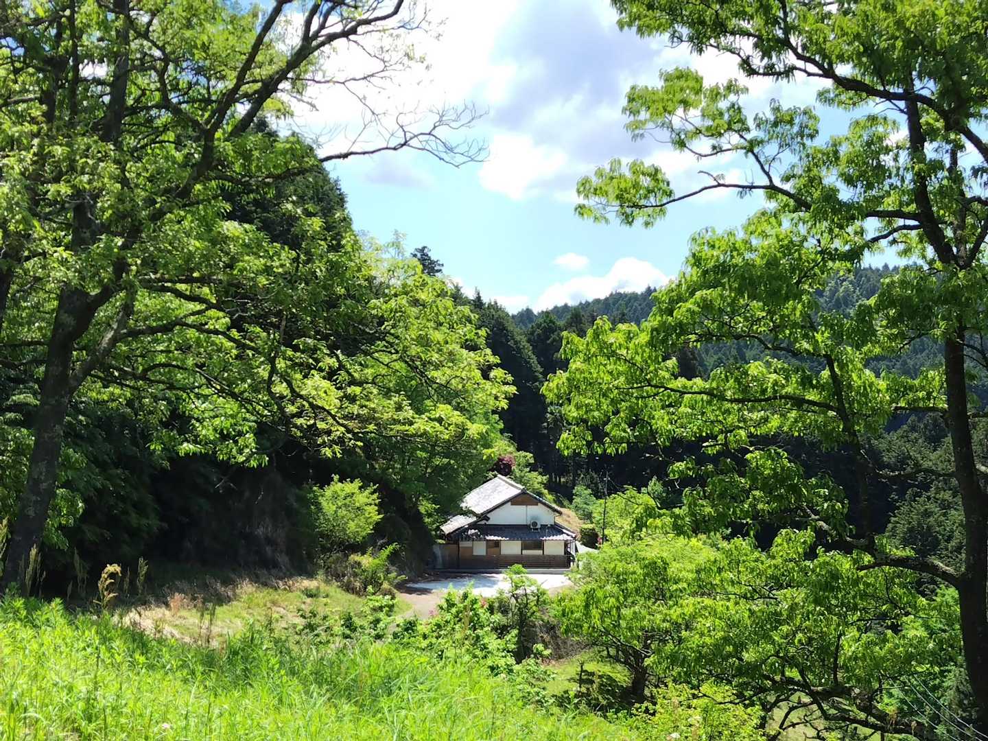 アップ🏠