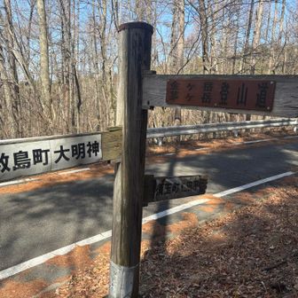 林道まで下りてきました！