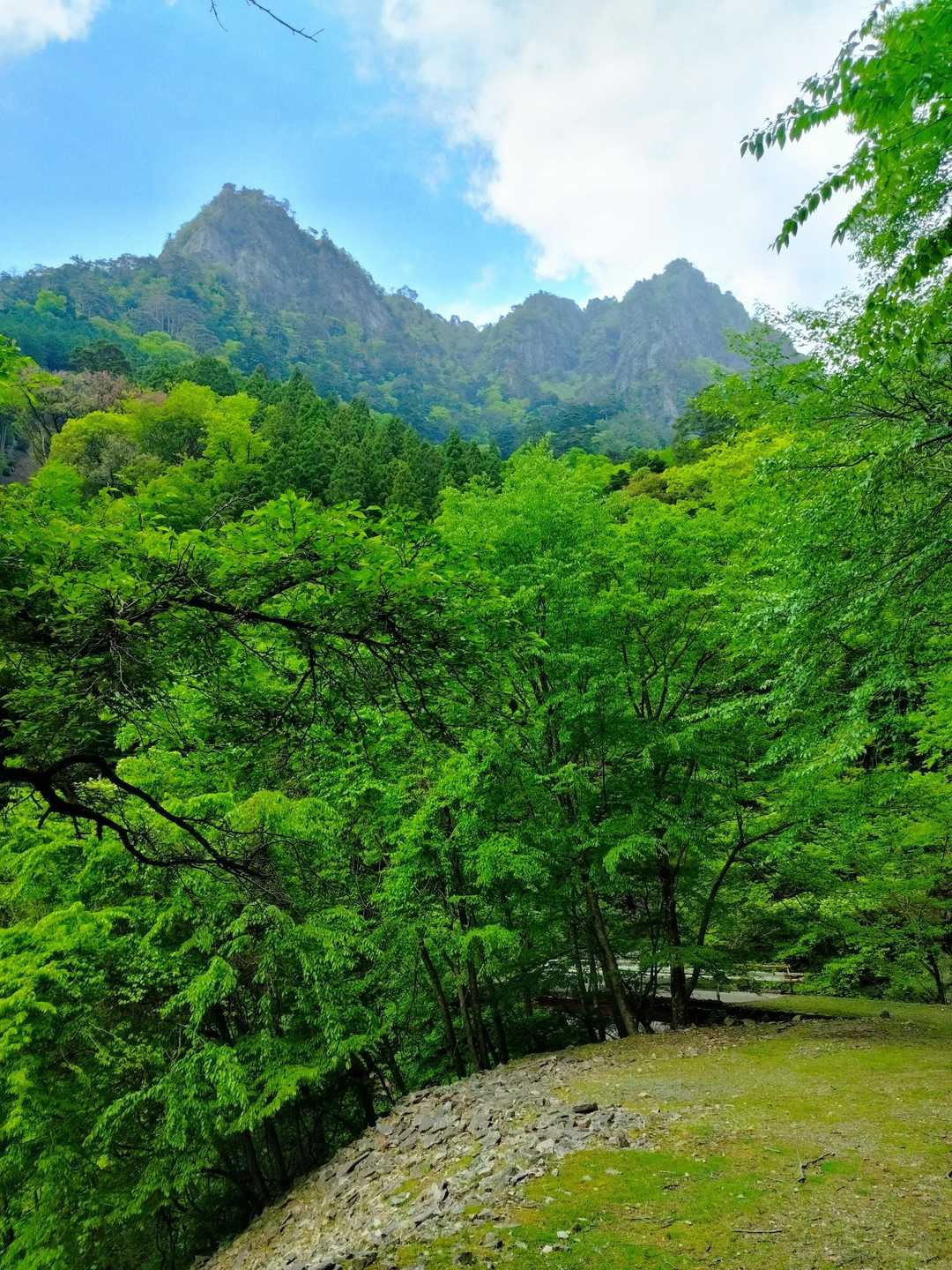あそこに居たのかと