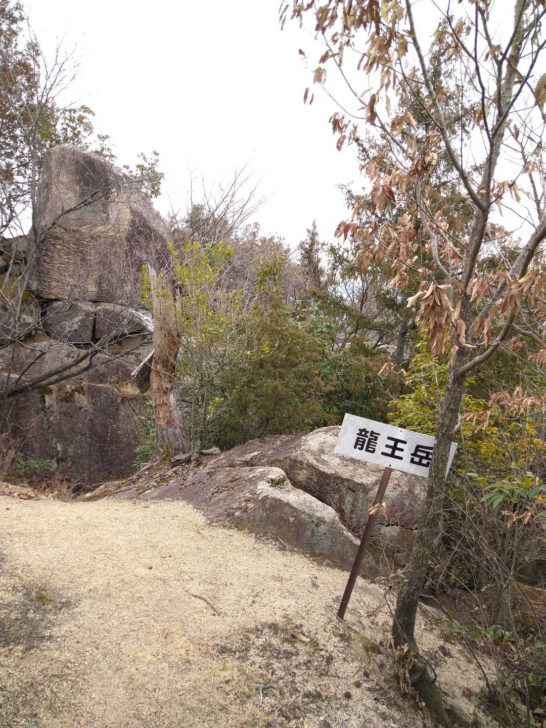 龍王岳