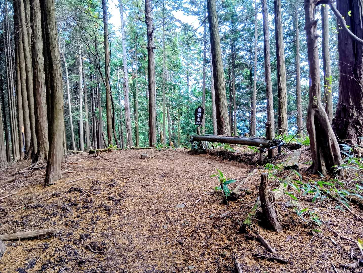 音羽山山頂域✨️