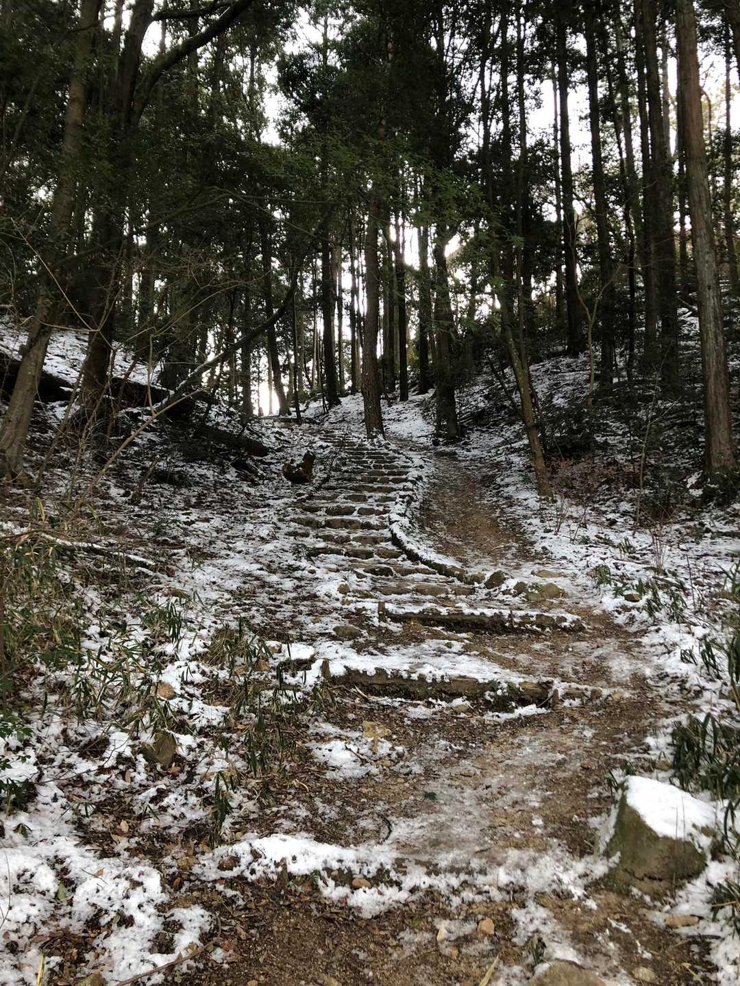 鍋蓋山-再度越-再度山 周回コースの写真