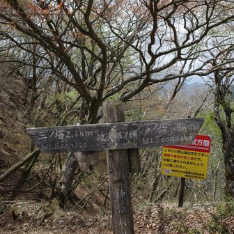 後ろの看板にご注目。そりゃしんどかったわけだ。