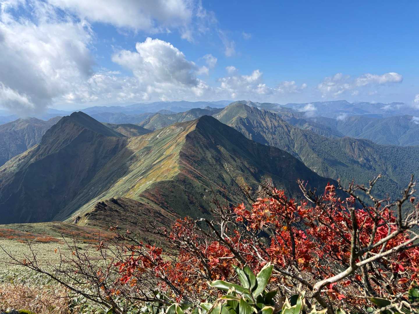 平標方面に続く紅葉の谷川稜線⛰️🍁
絶景過ぎて、このアングルだけで何枚写真撮った事か📷✨