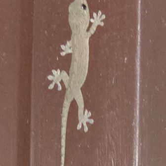 らいむ(改名してます)