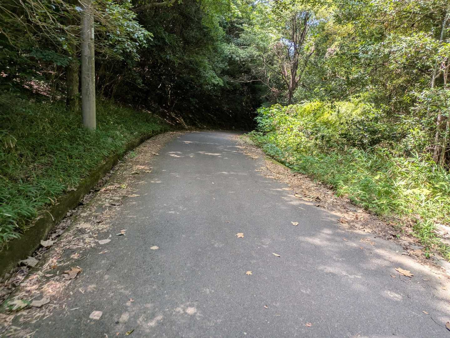 正一位稲荷大明神-香色山-香色山大師堂-筆ノ山-大坂峠-我 周回コースの写真