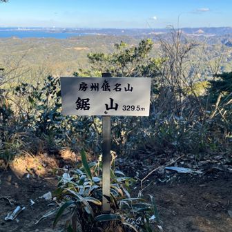 鋸山の山頂です。