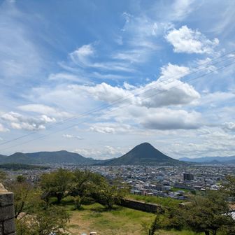 東側の飯野山方面を臨む