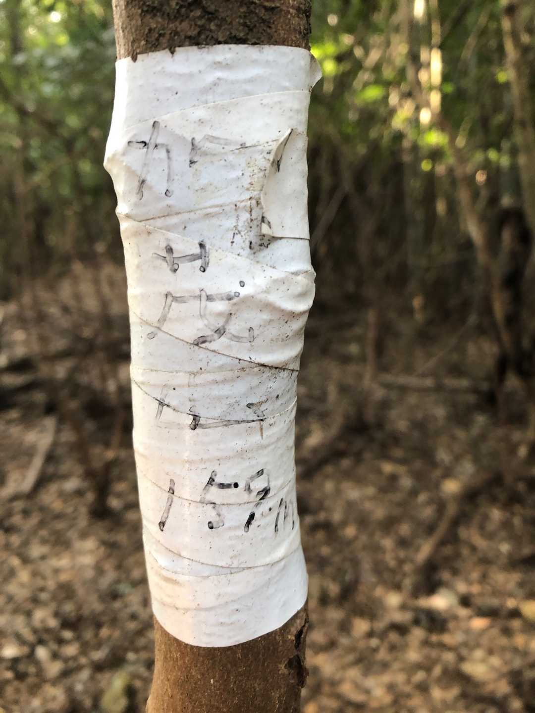 加茂山山頂です⛰
色々探しましたがこれしか見つけられませんでした👀💦