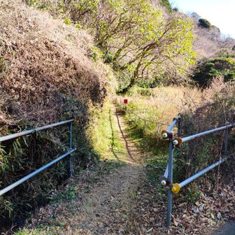 衣笠山の入り口