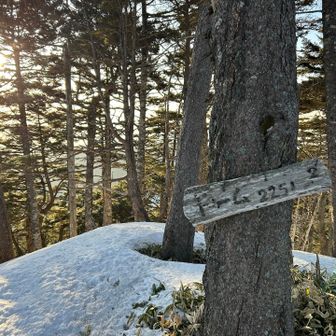 ドーム
みさ百No.2🥈

これで、今回の姫のアテンドのお役御免です！
白倉山、笠松山、三又山、ドーム