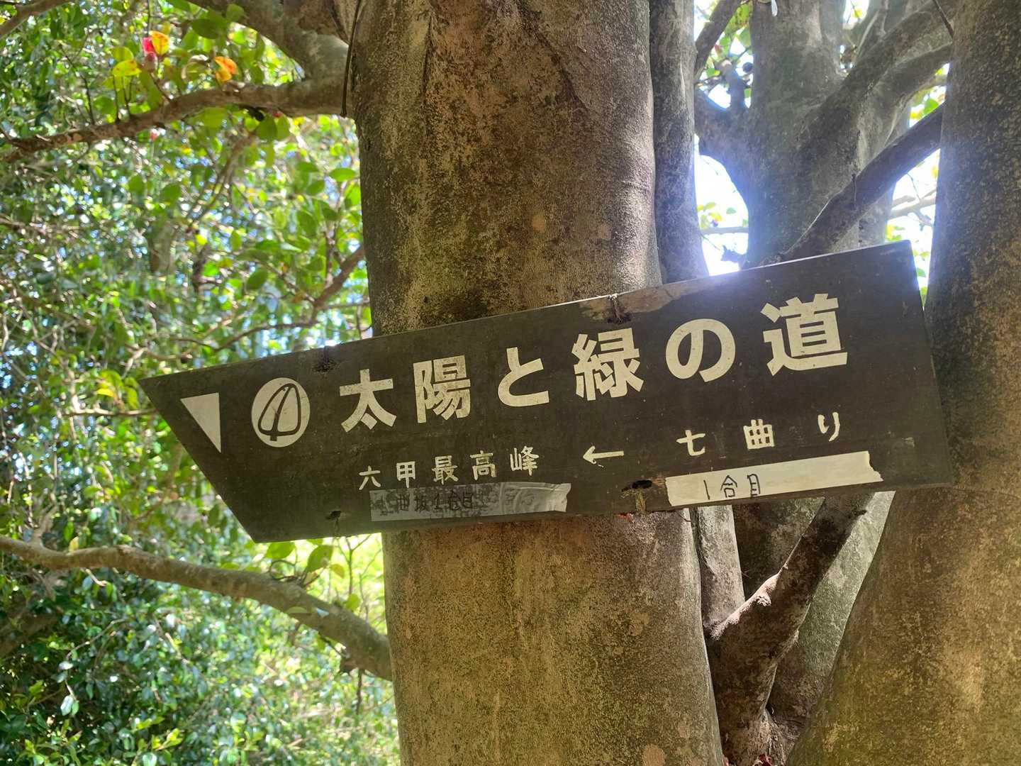 芦屋川駅-雨ヶ峠-六甲山-六甲越-水無山-船坂峠-大谷乗越 縦走コースの写真
