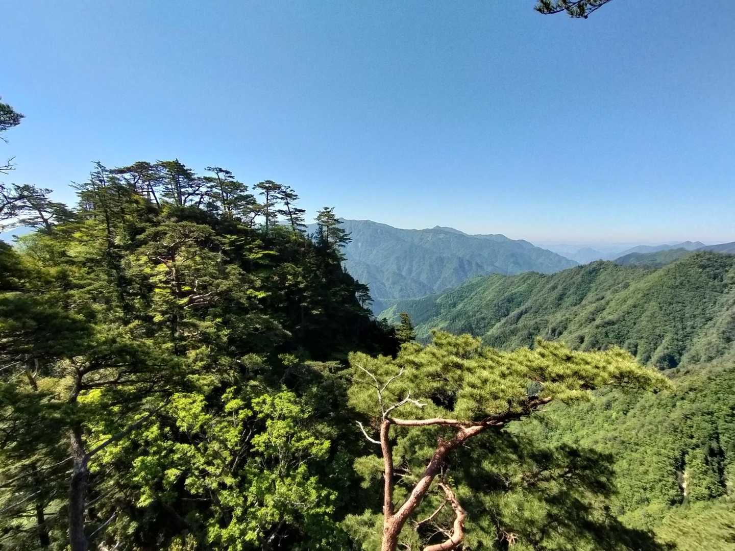 ちょこんと飛び出た鹿納山が見える🫡