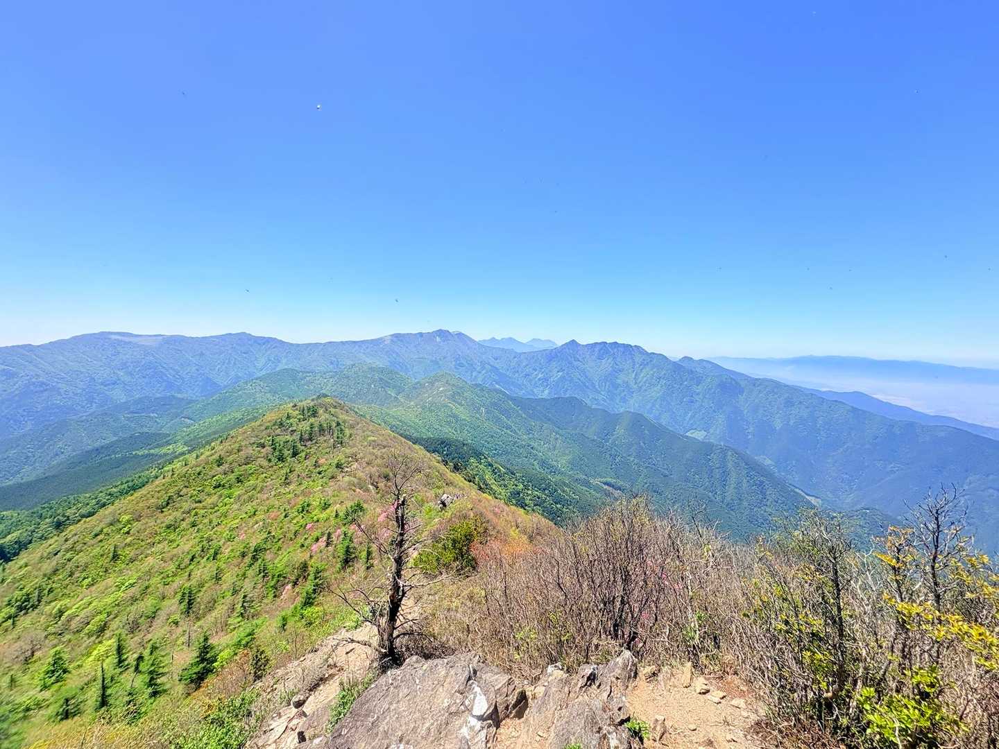 山頂からの景色✨
ここでお昼にしたいところだけど‥‥
