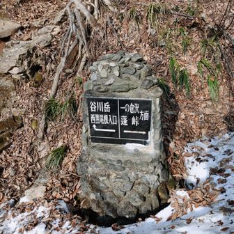 西黒尾根の登山口
この標識は見えています
登山道も最初は雪がなく