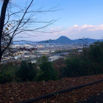 三上山が見えます。少しでも身体を動かせて、よかったです。