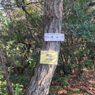 浦山山頂の少し手前に、