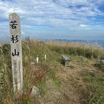 山頂です。気持ちの良い場所です。360度の大パノラマ。眺望良きです。
