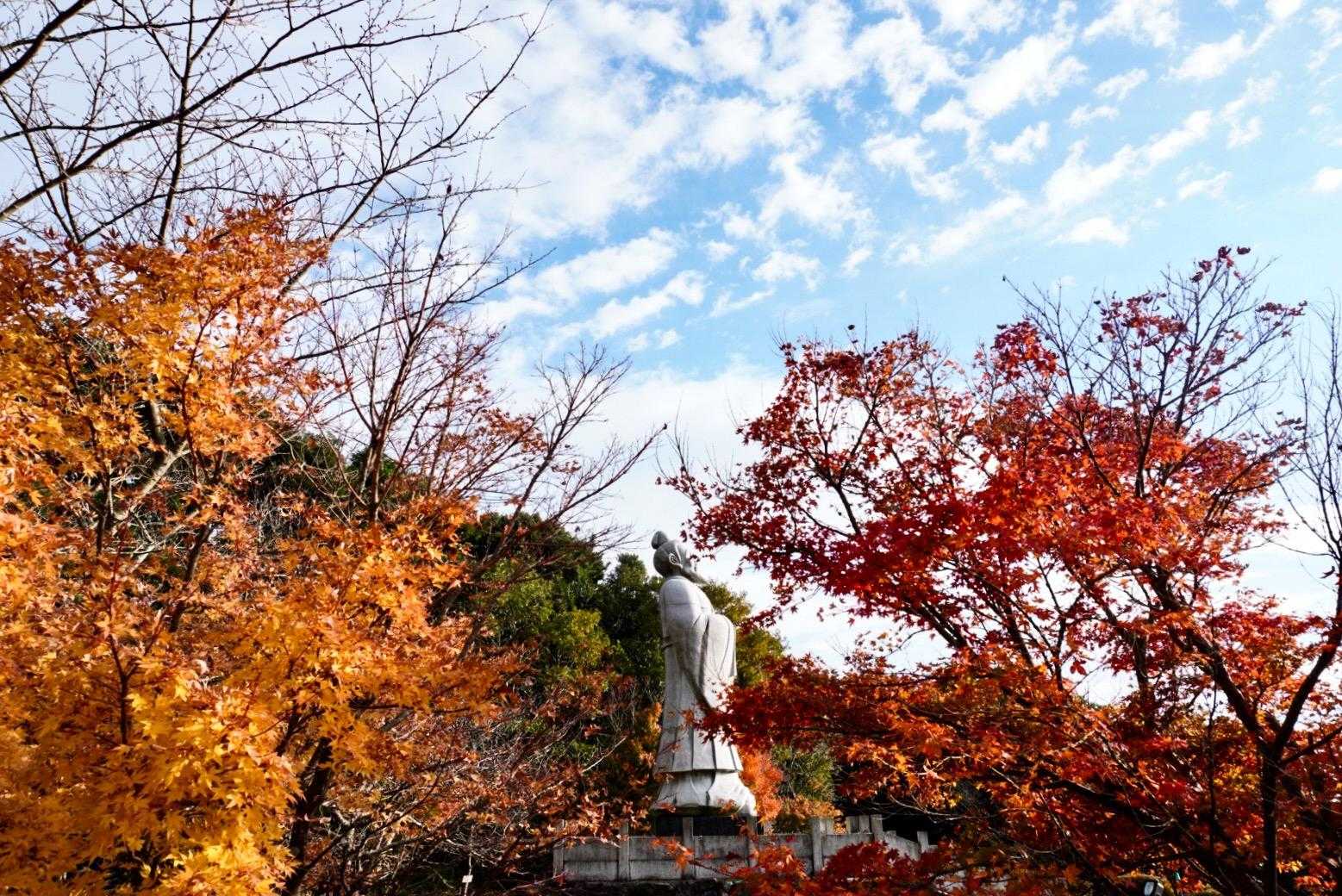 冠岳登山口発着｜山頂のパノラマを楽しむ周回ルートの写真