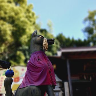 凛と引き締まった、お狐様