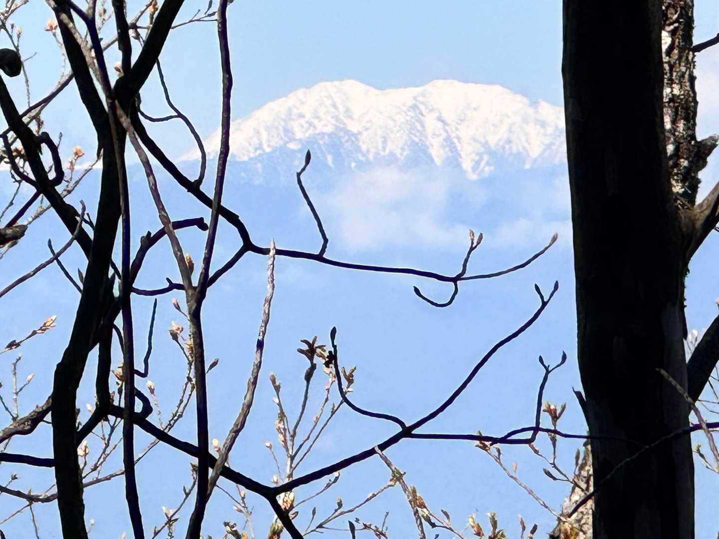 達沢山-ナットウ箱山 往復コースの写真