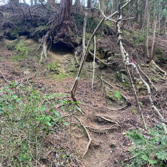 下りてきた所を振り返って。急に見えないけど、すごく急です。