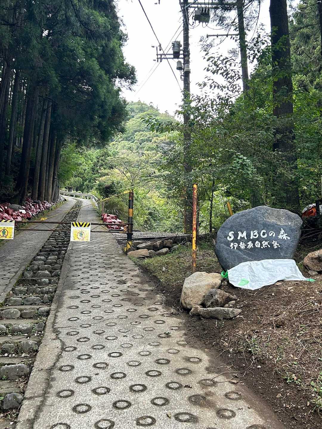立入禁止🈲の旧日向キャンプ場はSMBCの森🌳？なるものを作っているみたいですね。
