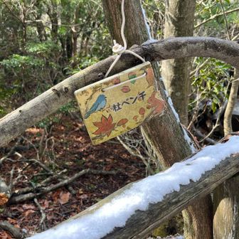 お久しぶりです
杜ベンチ