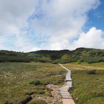 光岳手前の静高平。
天国？と思うほど別世界。この先に光岳小屋が。