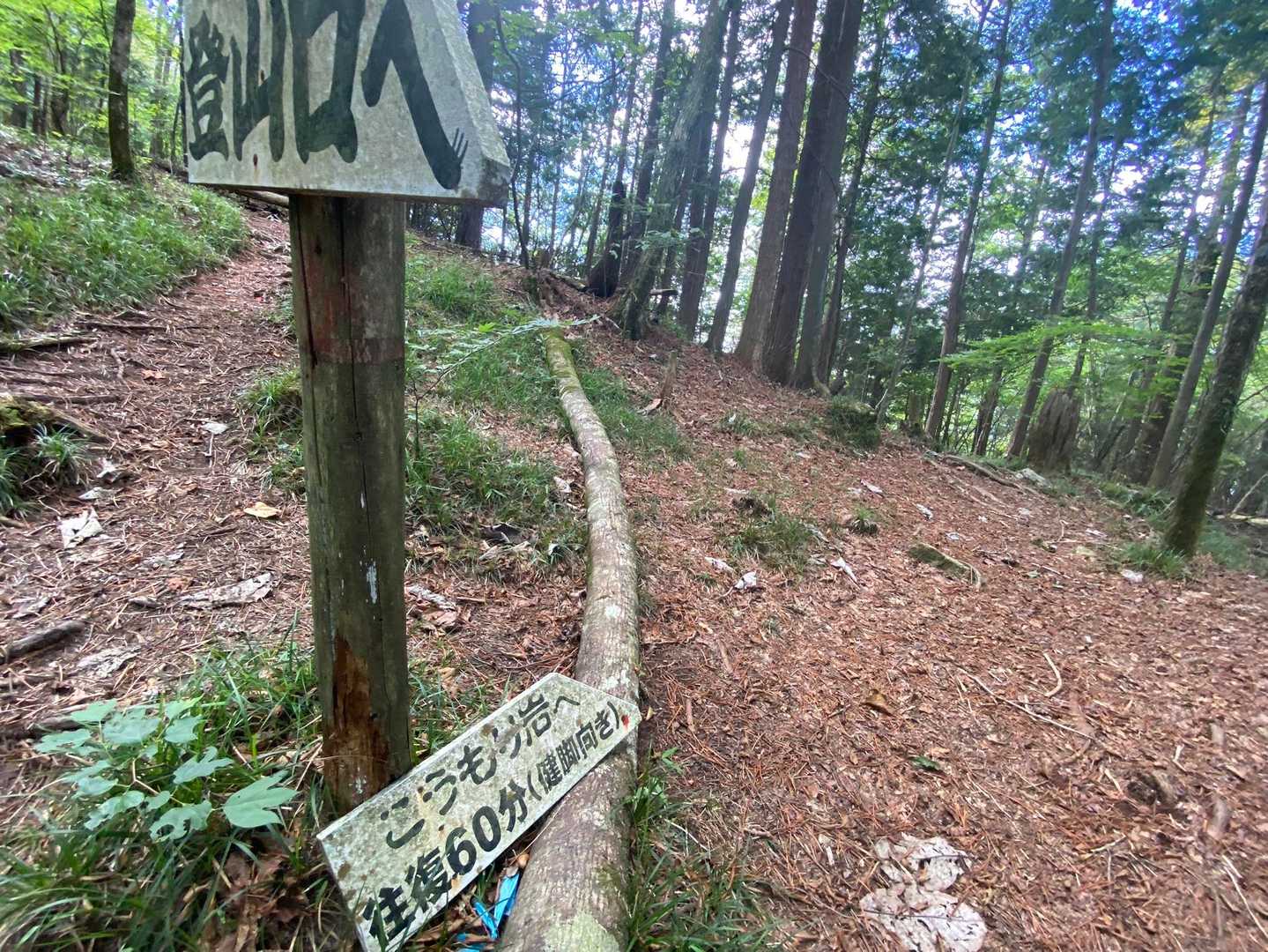 で、戻ってこうもり経由で帰ろー
