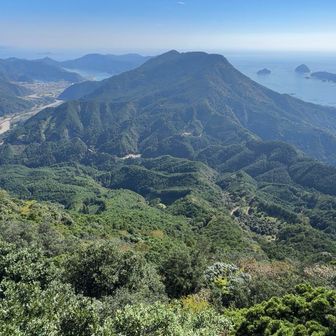 象の背の先端から尾鷲市を撮影
