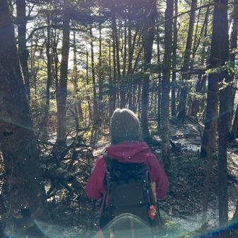 気温が高くなり
雪が降ってるみたいに❄️
