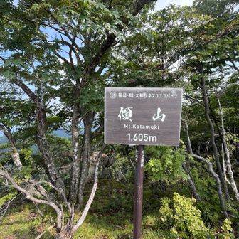 頂上！