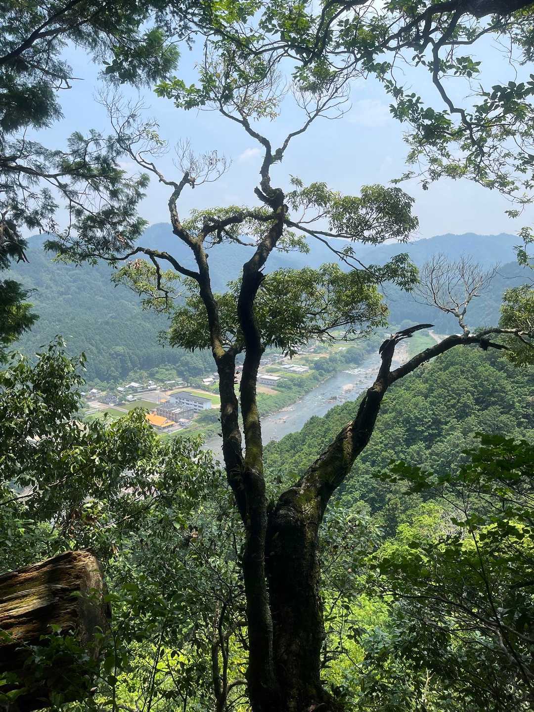 鶴形山 往復コースの写真