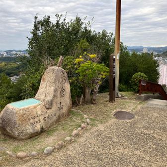 ④ 高倉山