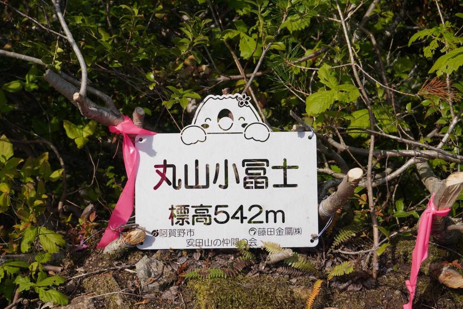 ⛰️