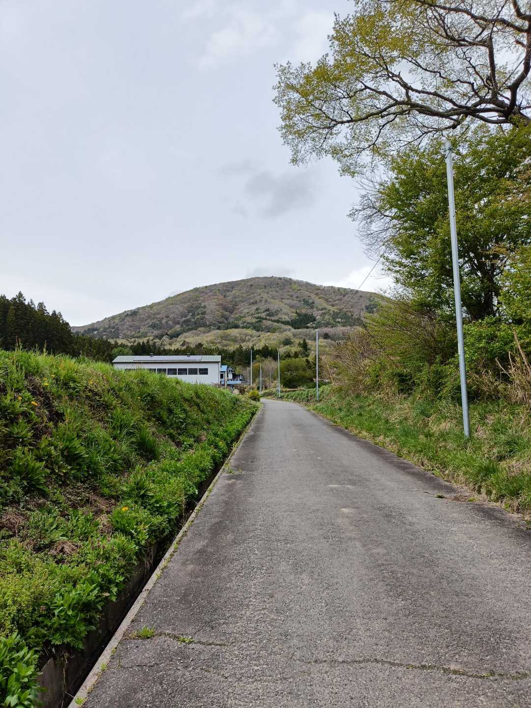 最初は舗装路。正面に見えるのがこれから登る竜子山。
