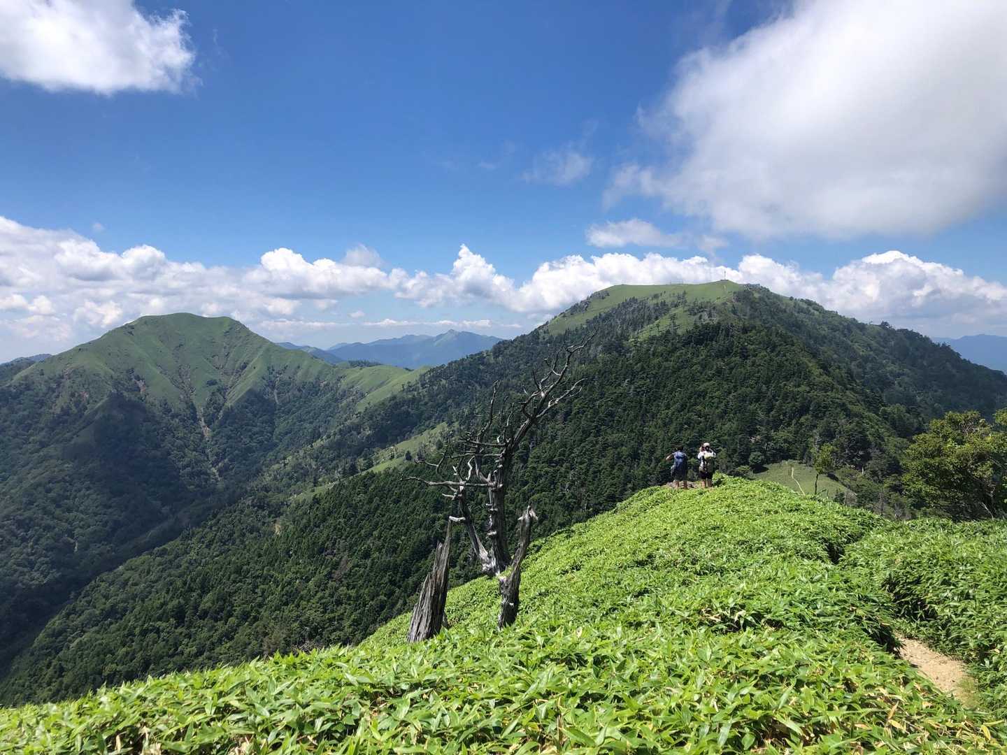 コトトリ登山口 往復コースの写真