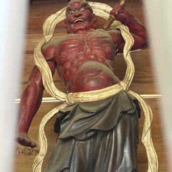 こちらは、少し強面