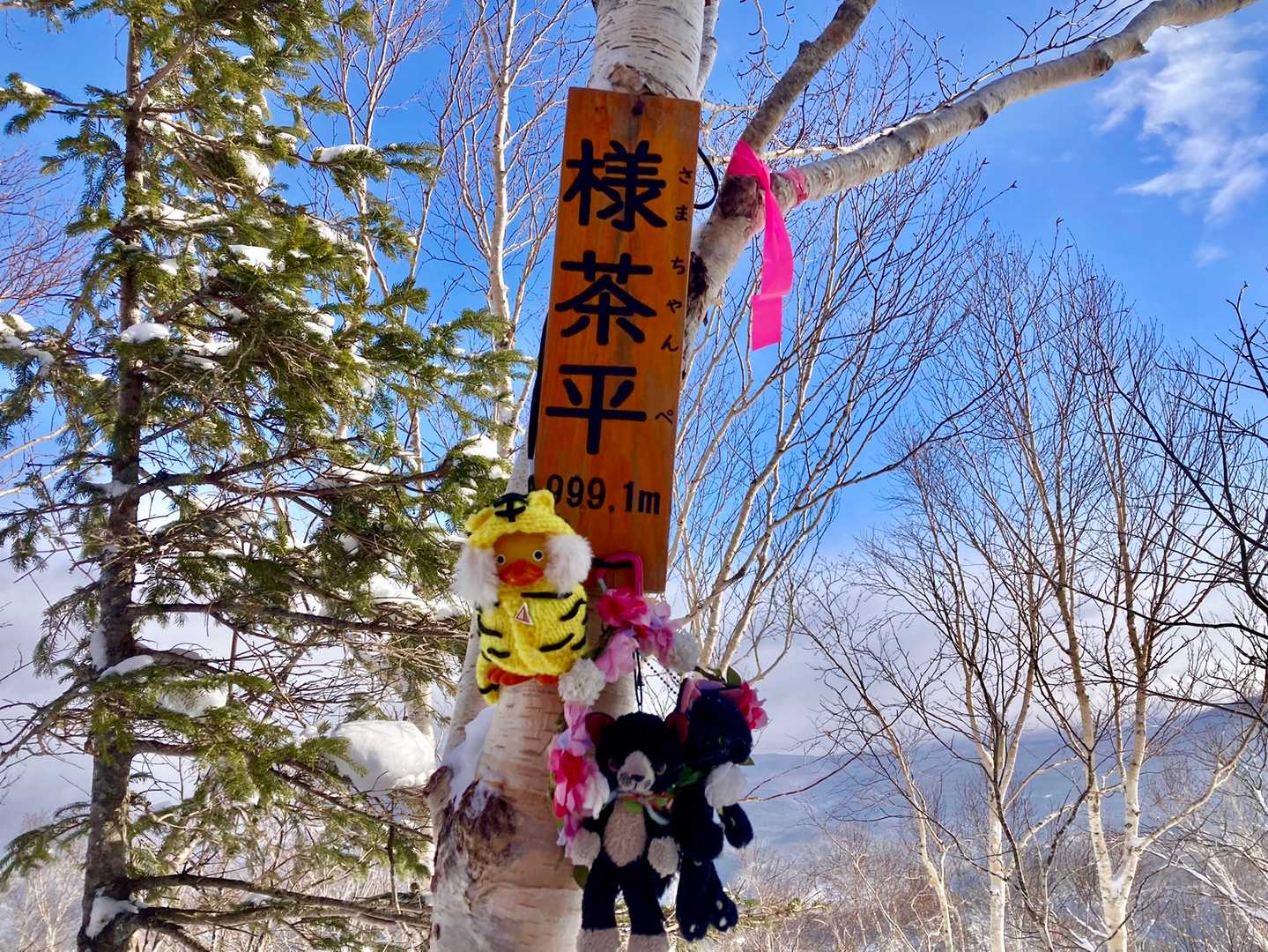 山頂着いた〜🌸
風が冷たいのでそそくさと下山です🥶