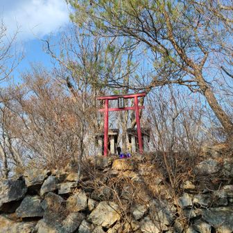 後ろのツツジが咲くと、ここもキレイなんですけど