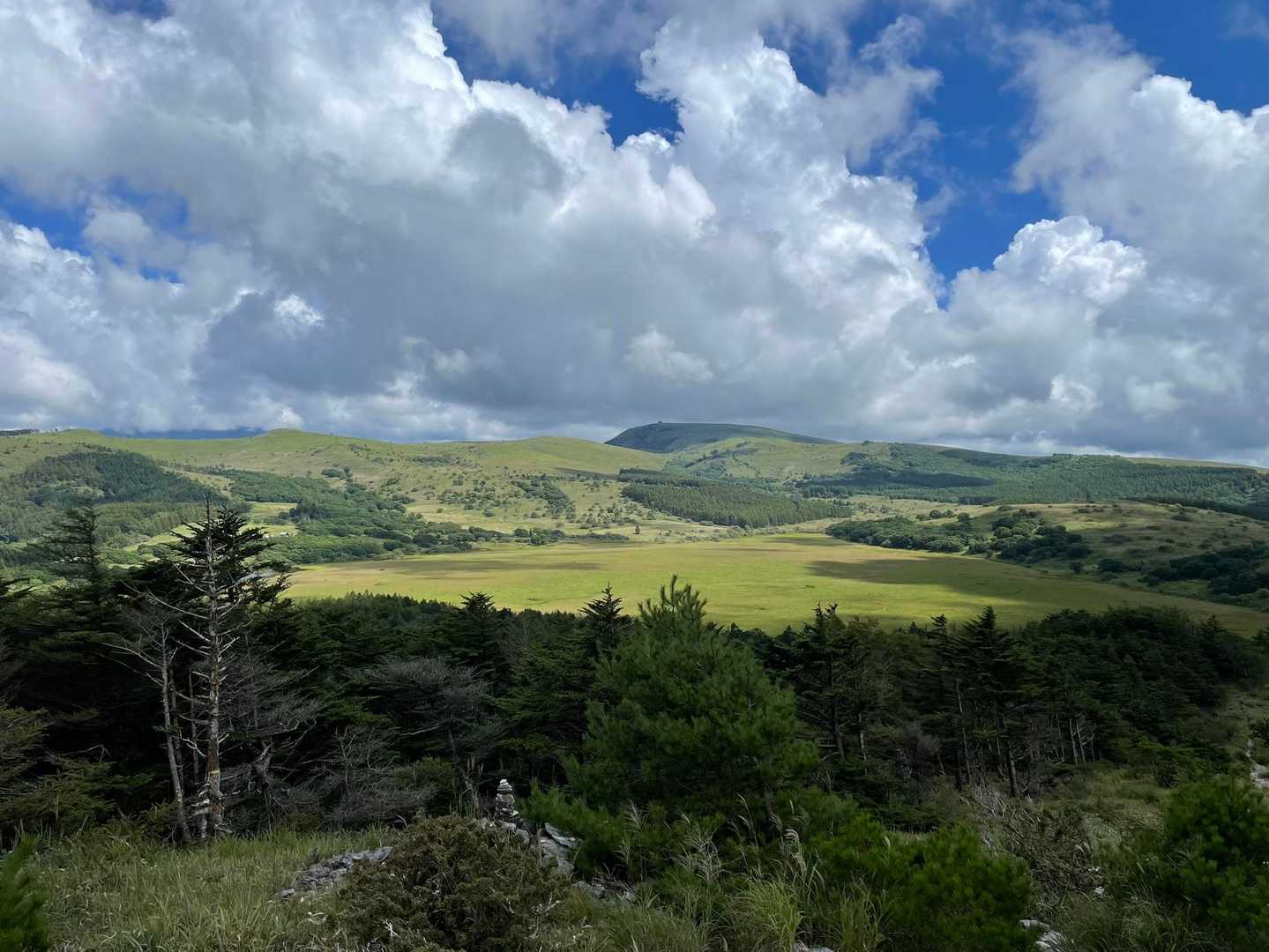 湿原