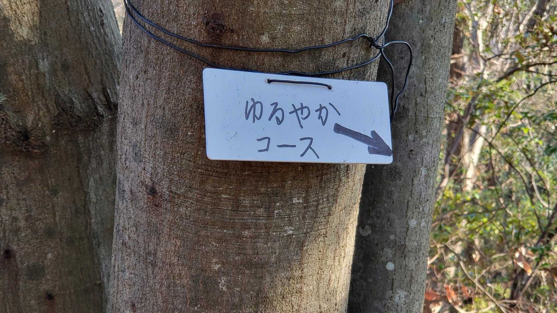 じゃない方