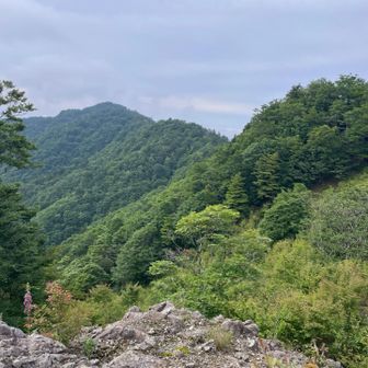ここも景色が見えて良かった
