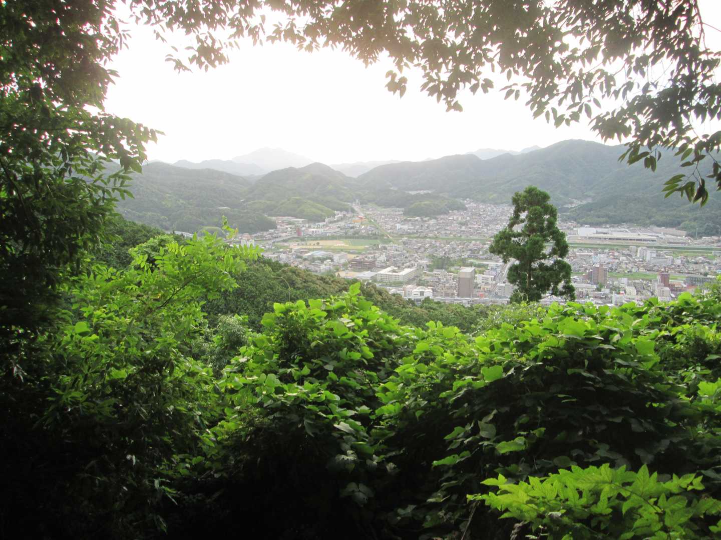 愛宕山登り口-愛宕神社-愛宕山 往復コースの写真