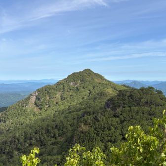 滝ノ沢岳、沢から行こう