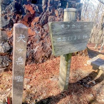 着いた〜!ひんだれた